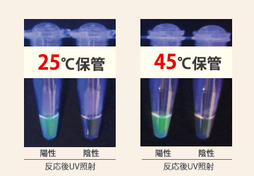 LAMP法乾燥試薬の安定性