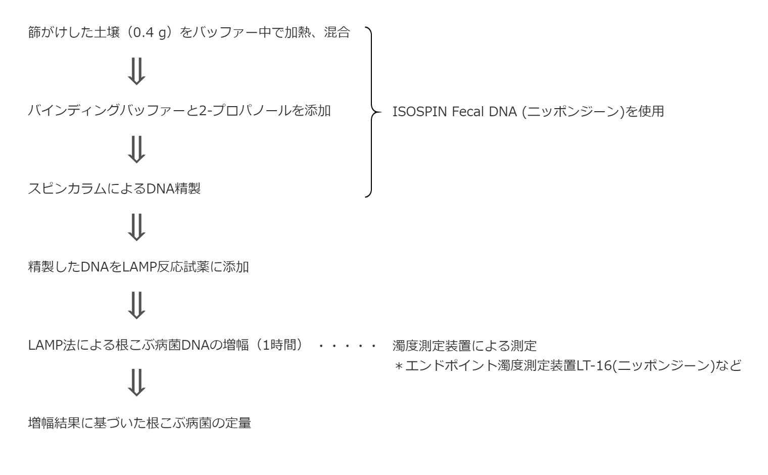 根こぶ病菌検出方法